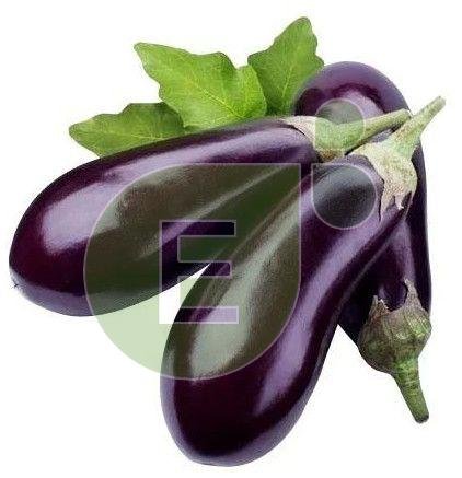 Fresh Brinjal