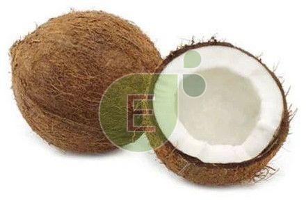 Fresh Coconut Fresh Coconut