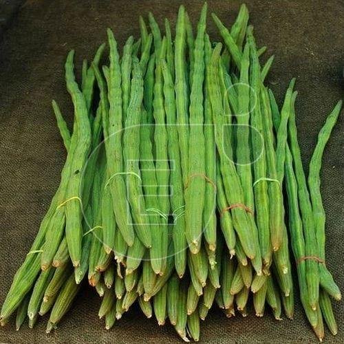 Fresh Drumsticks