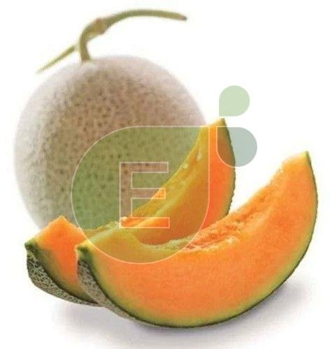 Fresh Muskmelon