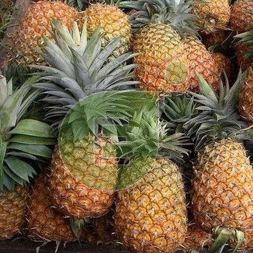 Fresh Pineapple