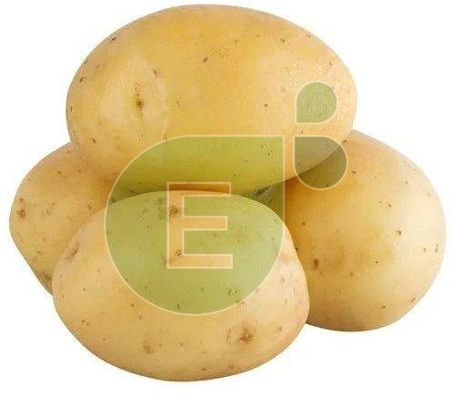 Fresh Potato