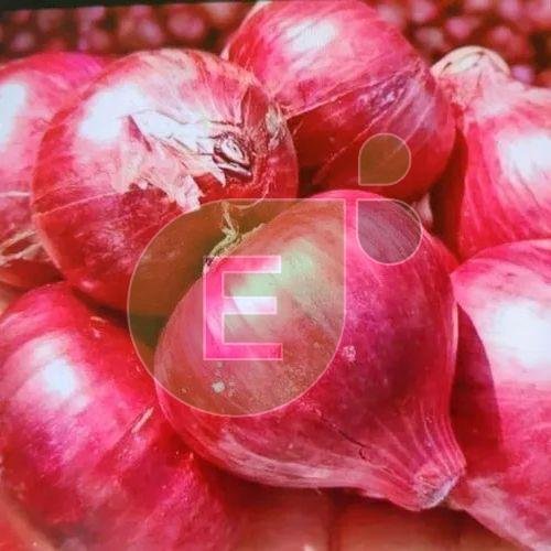 Fresh Red Onion