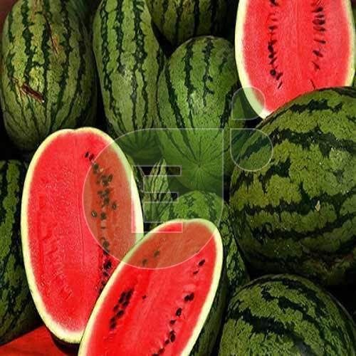 Fresh Watermelon