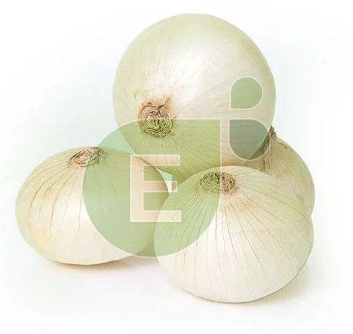 Fresh White Onion