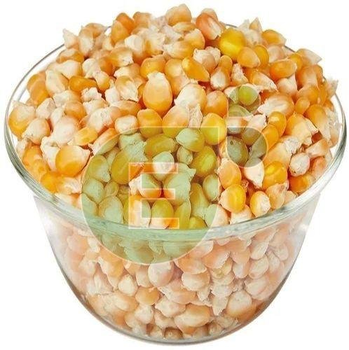 Natural Maize Seeds
