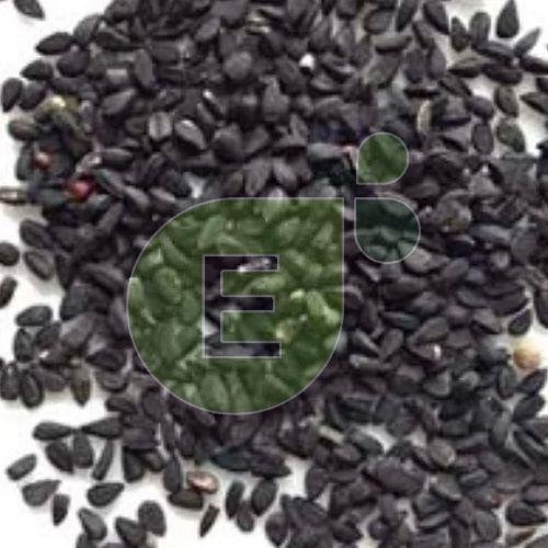 Nigella Seeds