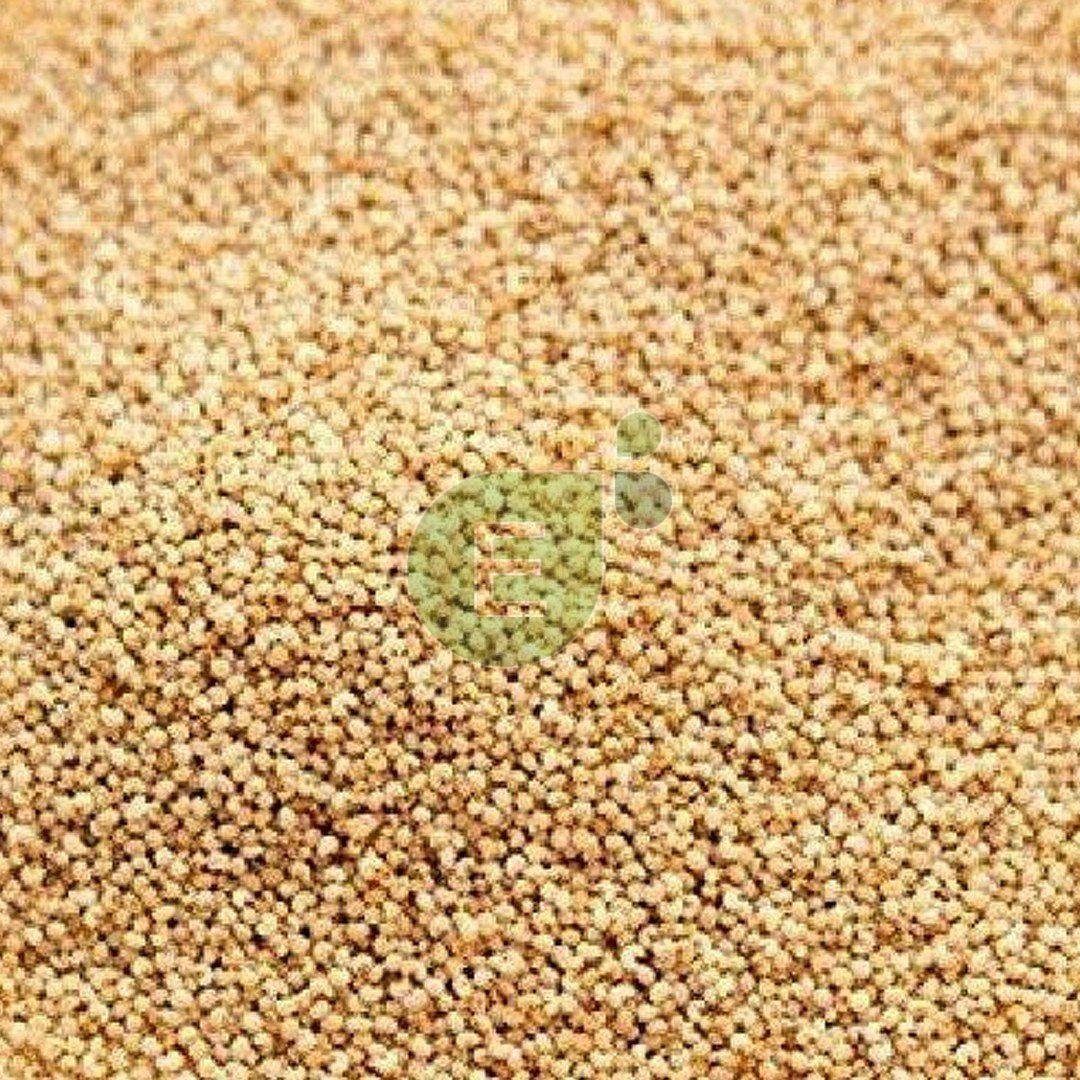 Poppy Seeds