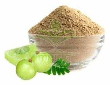 Amla Dry Extract Powder
