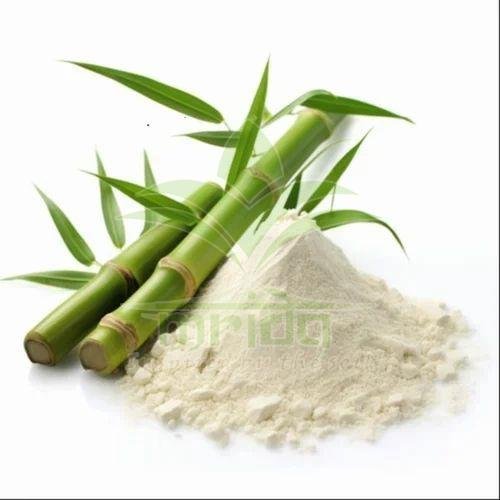 Bamboo Shoot Extract Powder