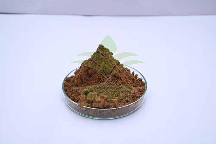 Eurofin Tested Shilajit Extract