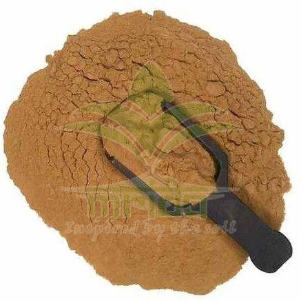 Ganoderma Extract Powder