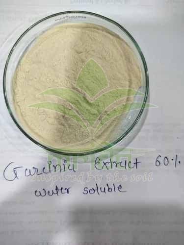 Garcinia Cambogia Extract