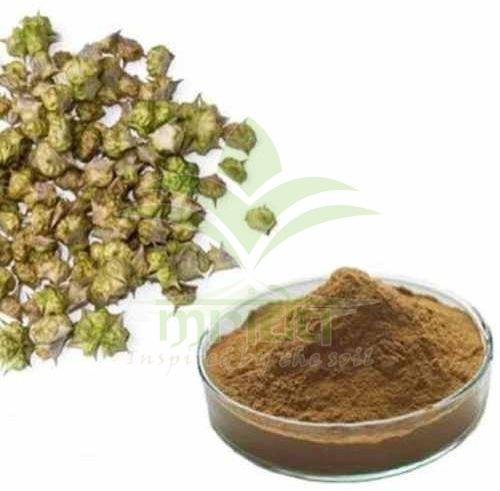 Gokhru Herbal Extracts