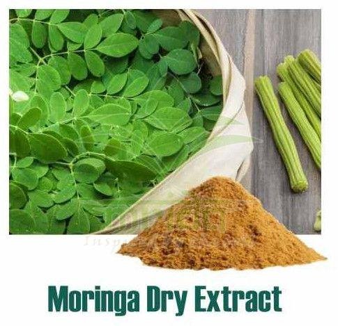Moringa Oleifera Leaf Extract