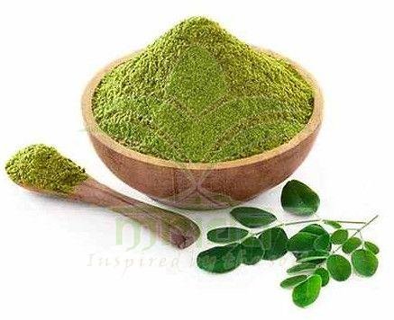 Moringa Oleifera Leaves Extract Powder