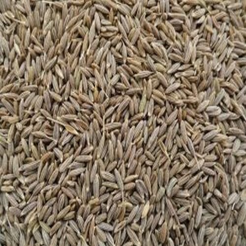 Europe Quality Cumin Seeds