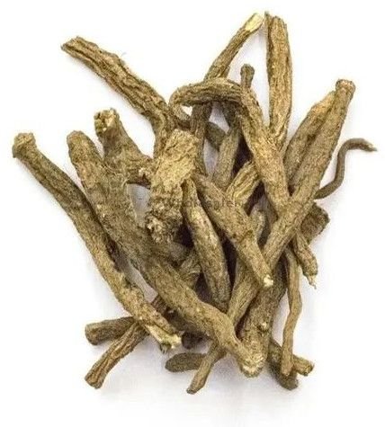 Dry Brown Akarkara Irani Root