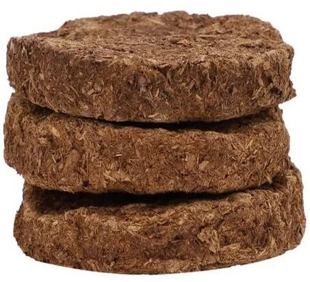 Cow Dung Cakes