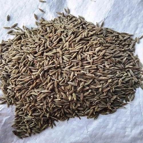 Brown Cumin Seeds