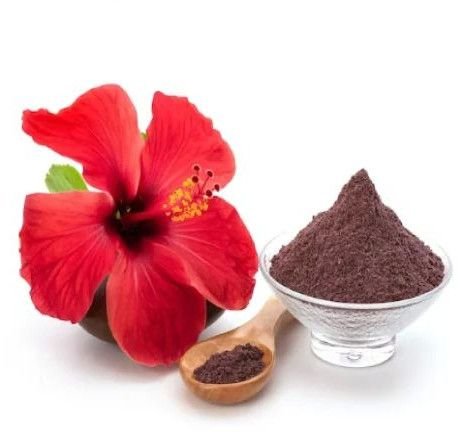 Organic Hibiscus Powder