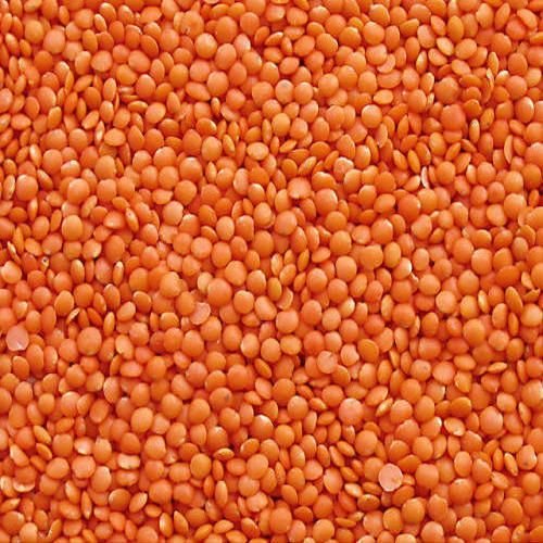 Whole Red Masoor Dal