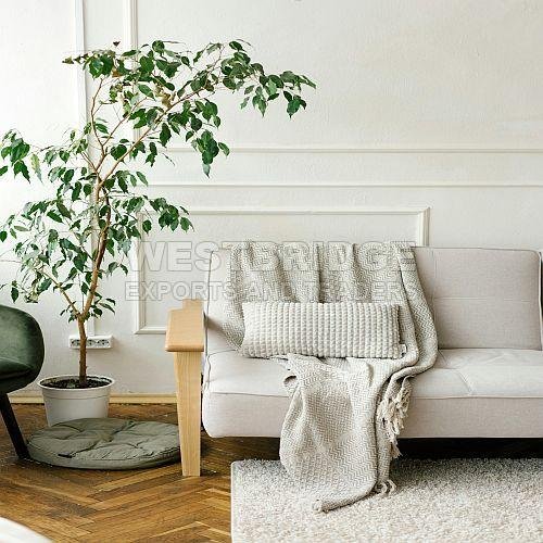 Bed Throws