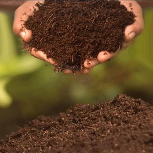 Organic Coco Peat Powder