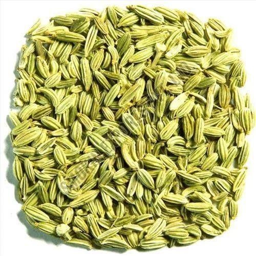 Herbs & Seeds