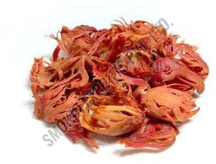 Dried Mace Javitri