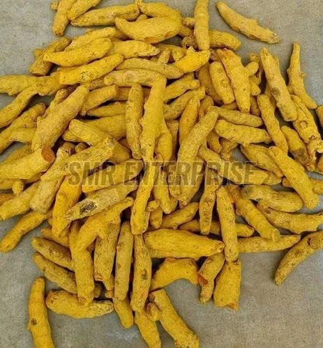 Natural Erode Turmeric Finger