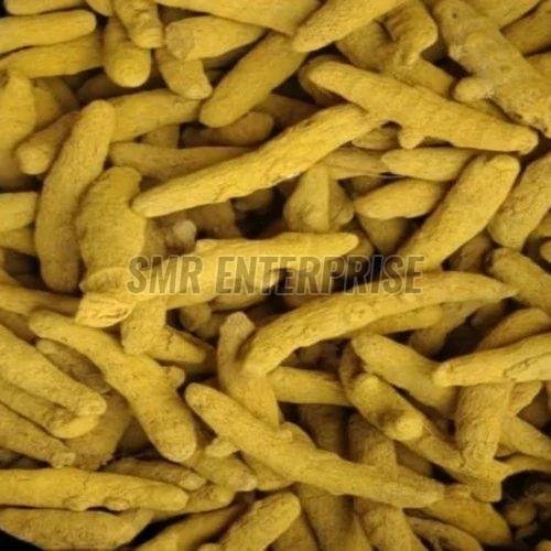 Rajapuri Turmeric Finger