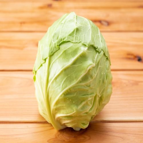 A Grade Fresh Green Cabbage