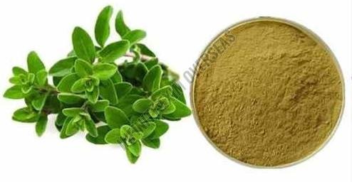 Dried Oregano Powder