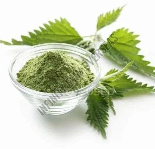 Himalayan Nettle Leaves Powder