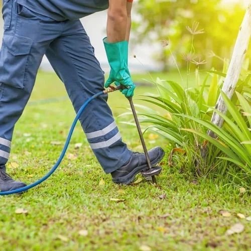 Eco Friendly Pest Control Services