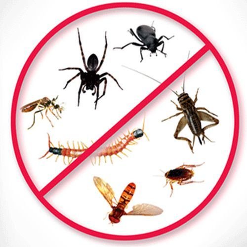 General Pest Control Services