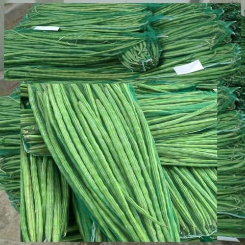 Fresh Drumsticks