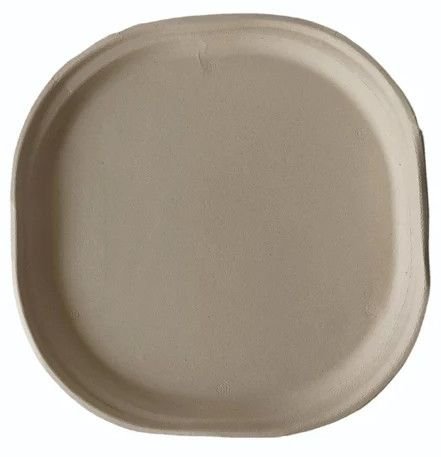 12 Inch Bagasse Disposable Plate