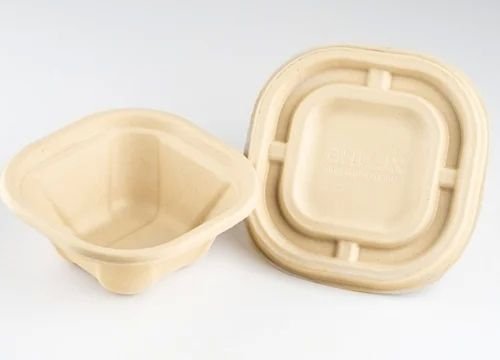 Bagasse Takeaway Food Container with Lid