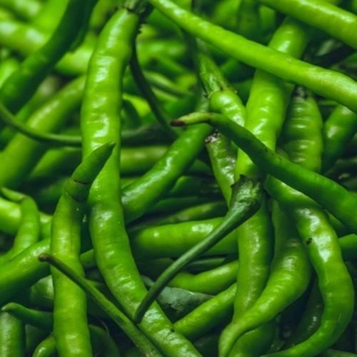 Fresh Green Chillies