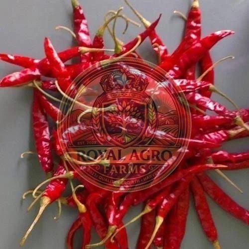 Dried Teja Red Chilli