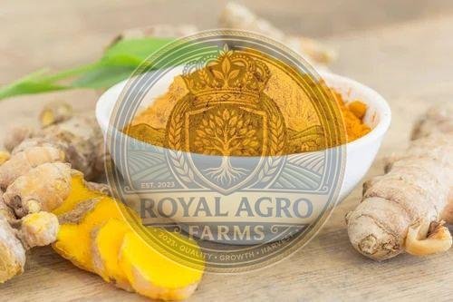 Organic Dry Turmeric Powder