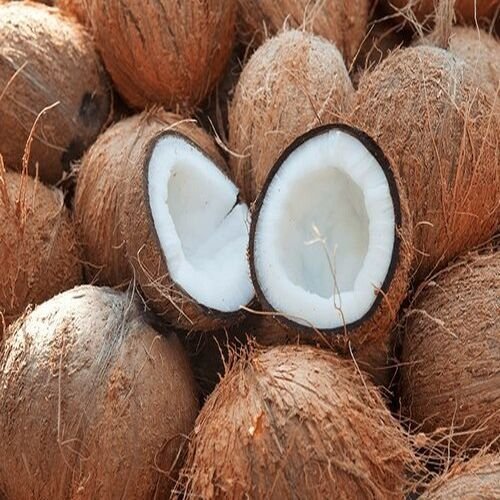 Whole Brown Coconut