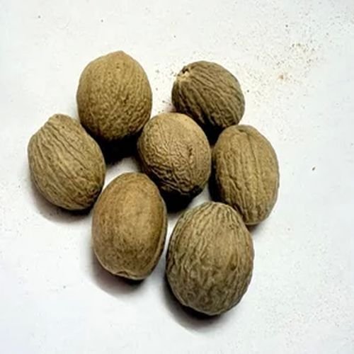 Nutmeg Seeds