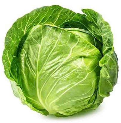 A Grade Fresh Cabbage
