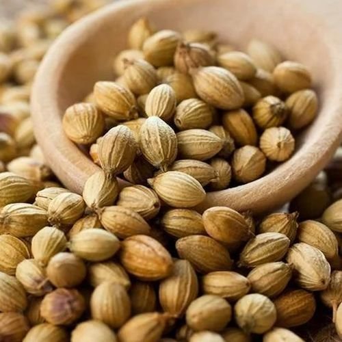 Coriander Seeds