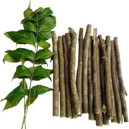 Organic Neem Stick