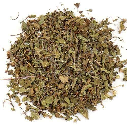 Krishna Tulsi TBC