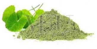 Organic Gotu Kola Powder